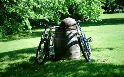 Route des vins Alsace à vélo