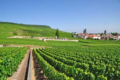 Route des vins Bourgogne