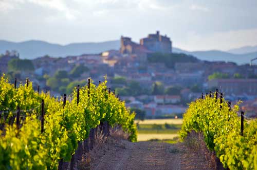 Route des vins Languedoc-Roussillon