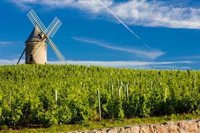 The Rhone Valley wine route