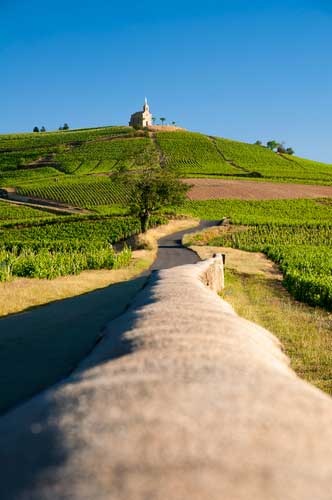 Route des vins du Beaujolais