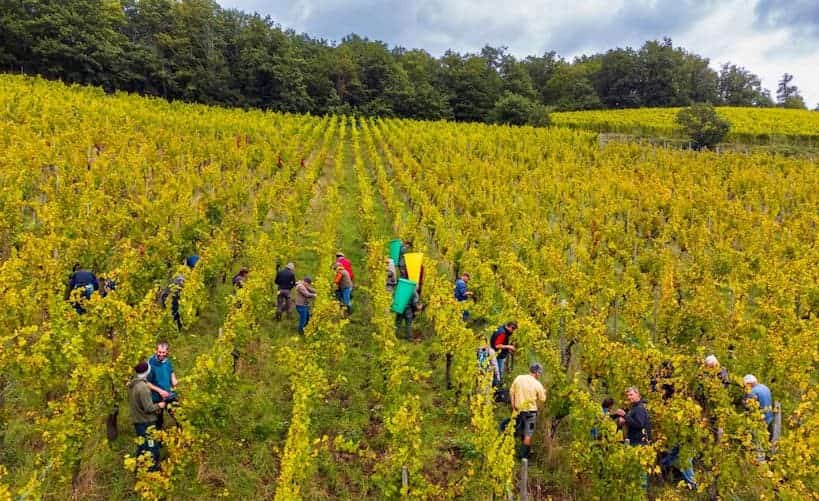 Domaine Schoenheitz - Oentourisme - Alsace