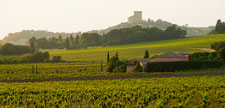 Drôme vineyard