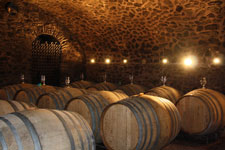 Cellar on the Anjou wine route