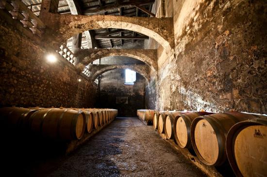 Visite de caves à vin