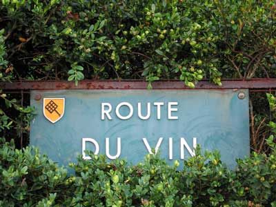 Visite route des vins