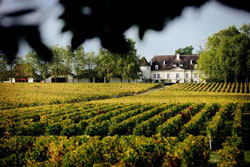 Château Bouscaut - Bordeaux - Wine tourism