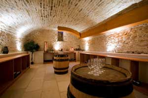 Domaine Boyer-Martenot - Burgundy - Wine tasting cellar