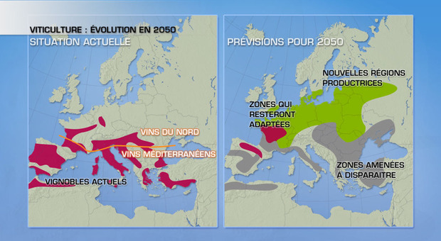 Zone viticole en Europe