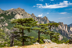 Alta Rocca - Stay - Corsica