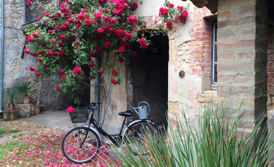 Bastide de la Buissière - Rhône - Accommodation - Outdoor