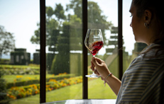 Romance viticole en Beaujolais