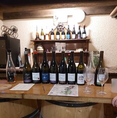 Beaujolais wine tour - Departing Lyon