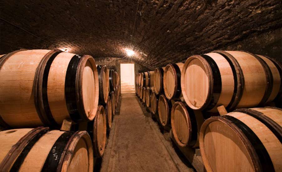 Domaine Boyer-Martenot - Burgundy - Cellar