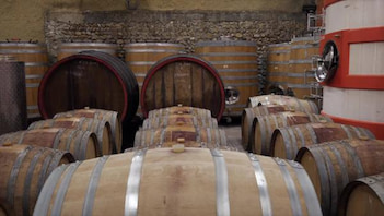 Cave Alexandre Cep - Rhone Valley