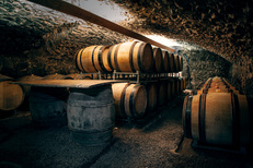 Cellar tour in Beaujolais