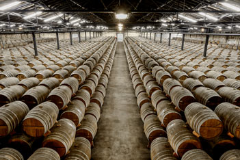 Maison Rémy Martin - Cognac - Cave