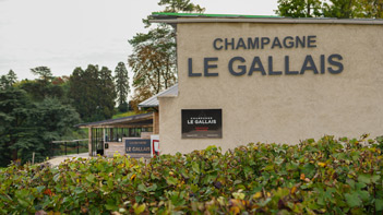 Champagne Le Gallais - Marne Valley