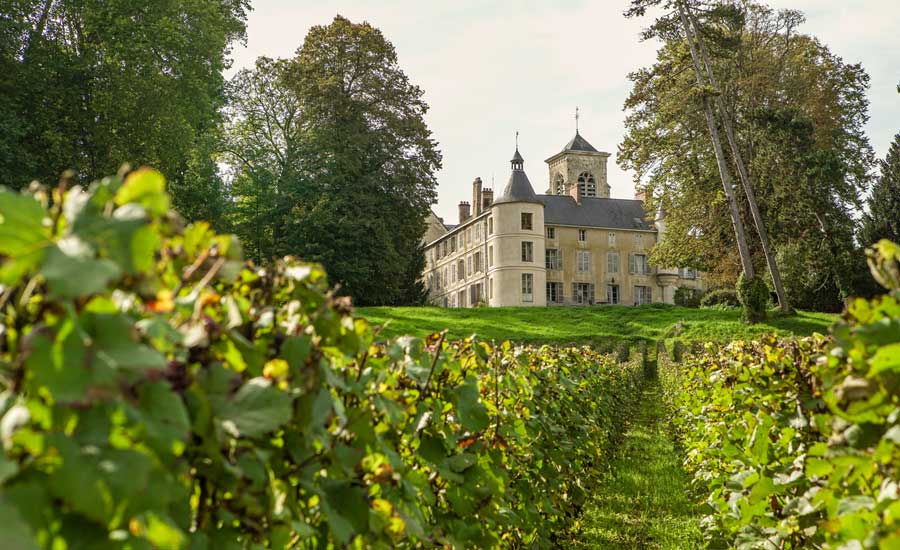 Champagne Le Gallais - Vallée de la Marne - Maison