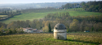 Château de Camarsac - Vignes