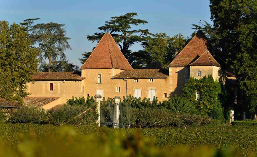 Château Carbonnieux - Léognan - Vignoble