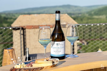 Château de Couches - visite et dégustation