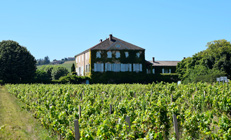 Château des Bachelards in the Beaujolais vineyard