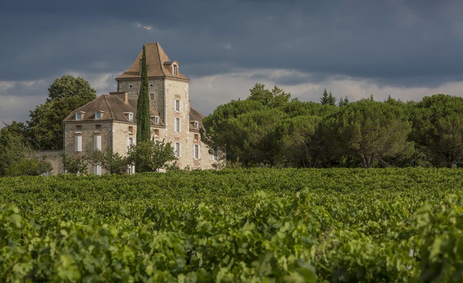 Château de Haute-Serre - Cahors - Domaine viticole