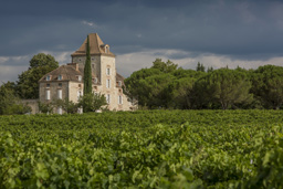 Château de Haute-Serre near Cahors