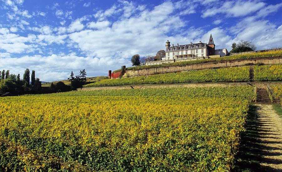 Château d'Isenbourg - Alsace - Hébergement