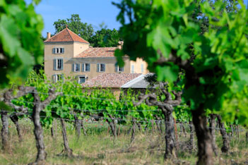 Château Lafoux - Wine tour