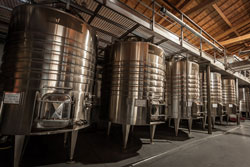 Chateau Montana - Roussillon - Vat room