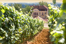 Chateau à Madiran