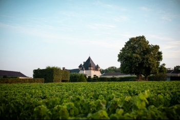 Château de Pizay - Beaujolais