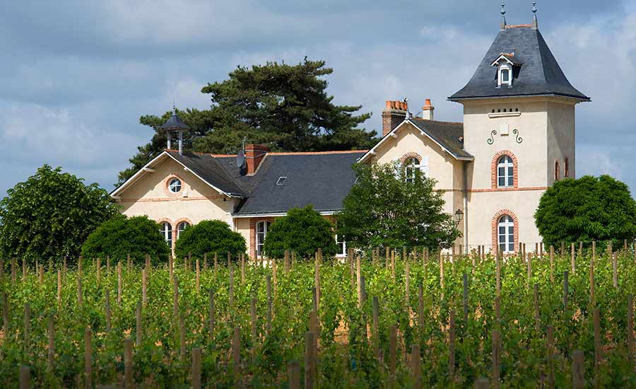 Château Soucherie sur l'appellation Savennières