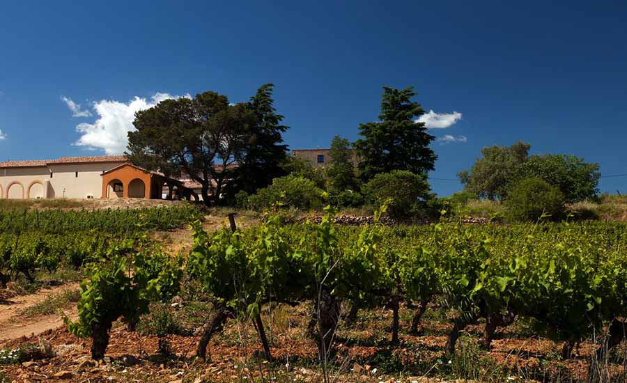 Domaine Clos Bagatelle - Saint-Chinian