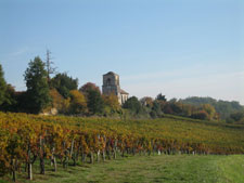 Saint-Emilion vineyard