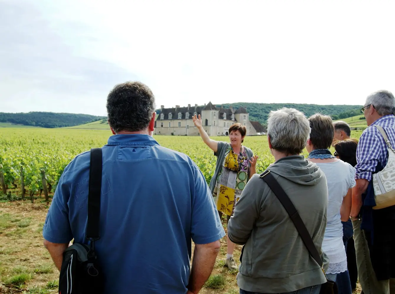 Clos de Bourgogne - Vineyard tour around Clos Vougeot