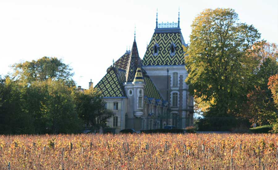 Château Corton C. - Bourgogne - Aloxe-Corton