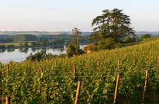 Weekend box in the Loire vineyard