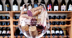 Bourgueil - Visit and tasting