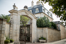 Dégustation au Château - Bourgogne
