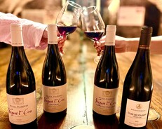 Dégustation de vins - Vougeot