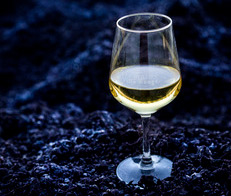 Tasting in a family winery in the Rhone region