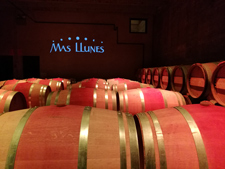 Emporda wine tasting - Mas Llunes