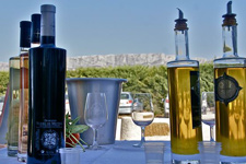 Provence wine and olive oil tasting