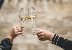 Dégustation de vins de Pouilly-Fuissé au domaine