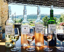 Bandol wines tasting