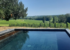 Relaxing in the Saint-Emilion vineyard