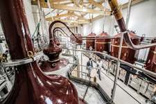 Distillerie de la Maison Rémy Martin - Cognac
